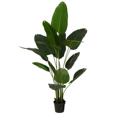 Kunstplant Bananenboom in Pot - H180 x Ø30 cm - Groen