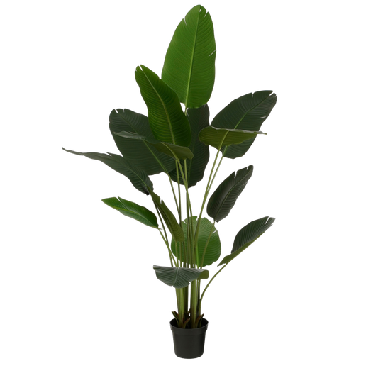 Kunstplant Bananenboom in Pot - H180 x Ø30 cm - Groen