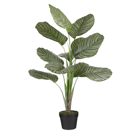 Calathea Orbifolia Kunstplant - H90 x Ø60 cm - Groen