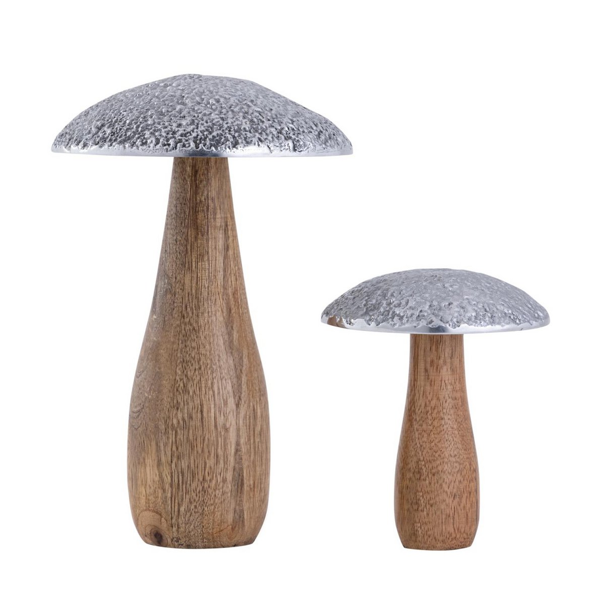 Set van 2 paddestoelen