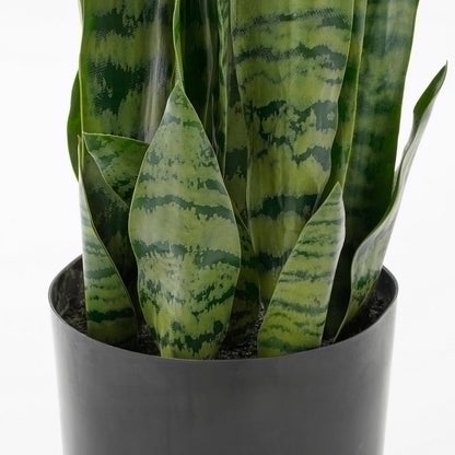 Sanseveria Kunstplant in Bloempot - H80 x Ø15 cm - Groen