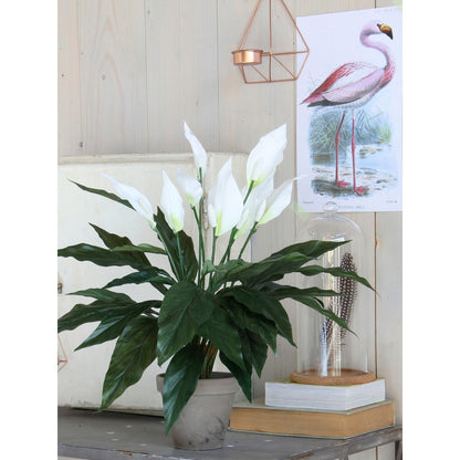 Spathiphyllum Kunstplant in Bloempot Stan - H50 x Ø40 cm - Wit