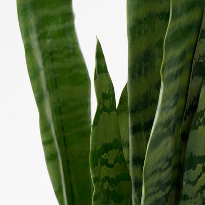 Sanseveria Kunstplant in Bloempot - H80 x Ø15 cm - Groen