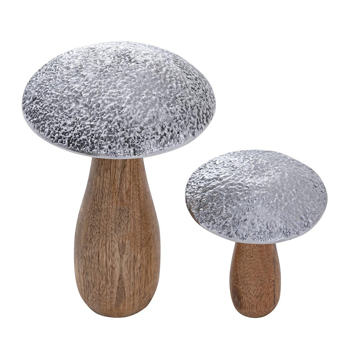 Set van 2 paddestoelen