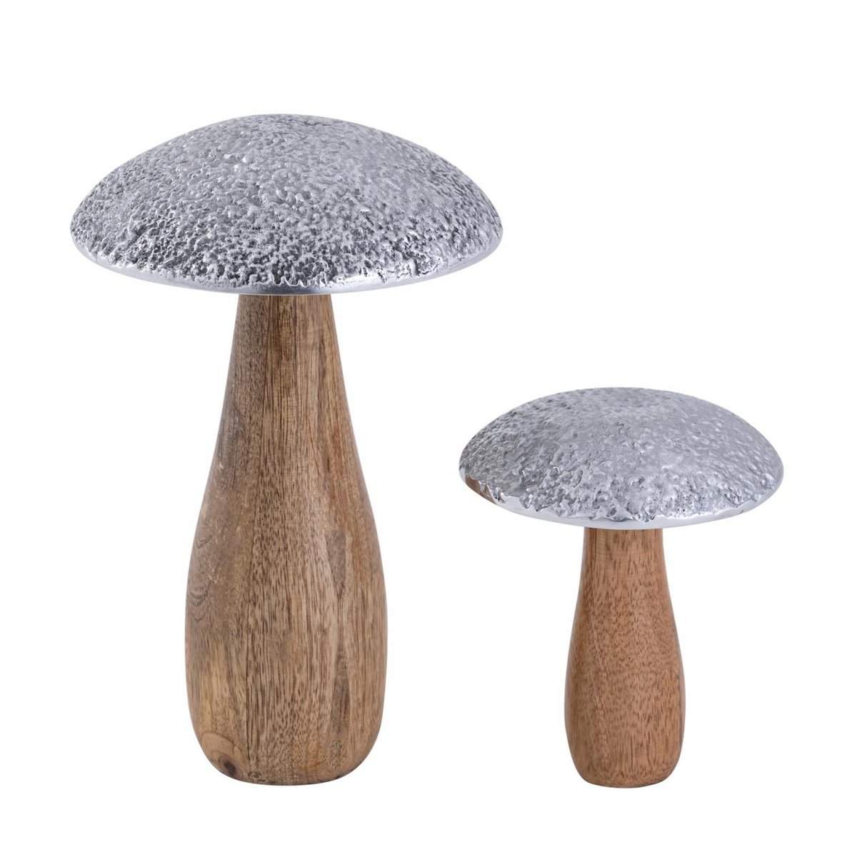 Set van 2 paddestoelen