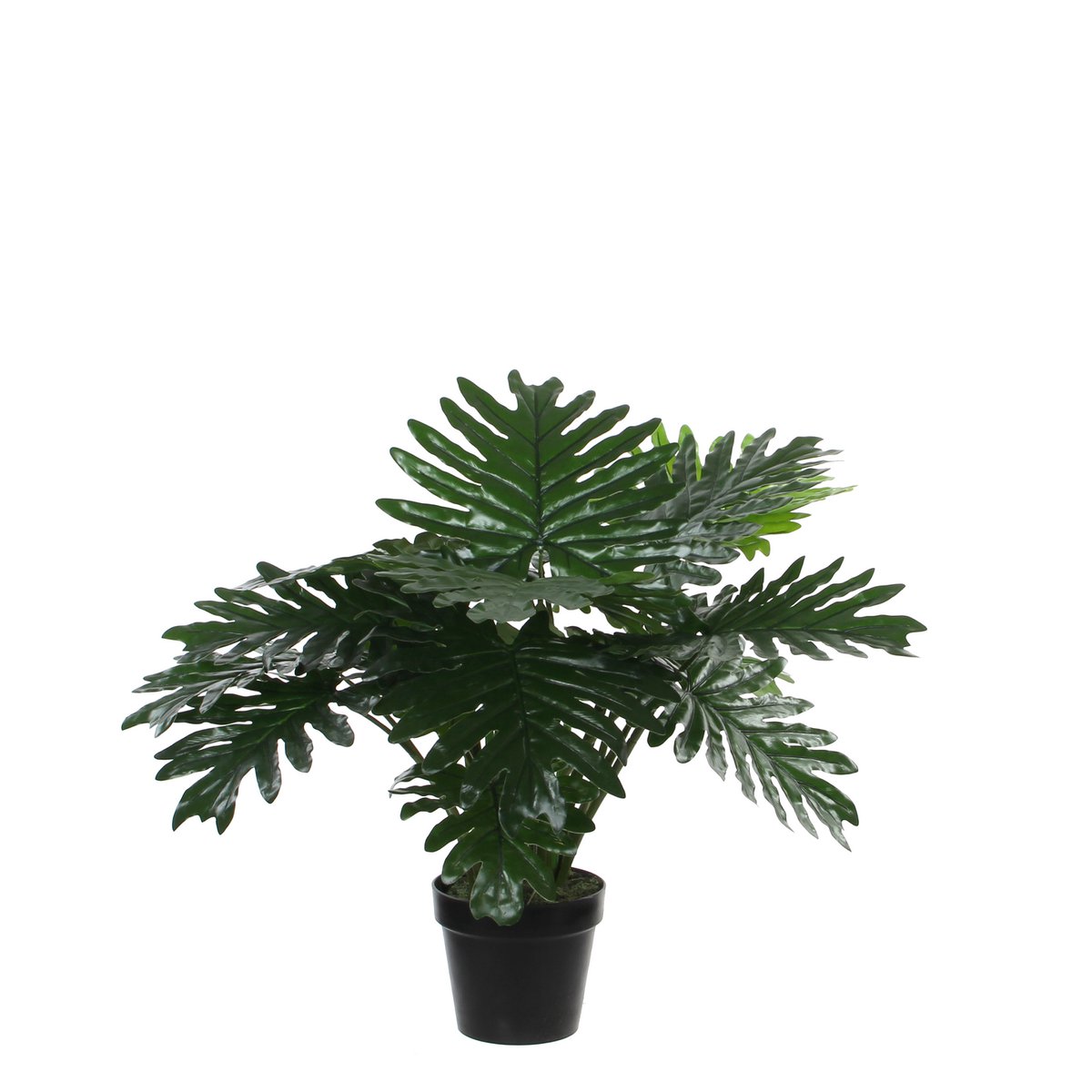 Philodendron Kunstplant - H60 x Ø80 cm - Groen