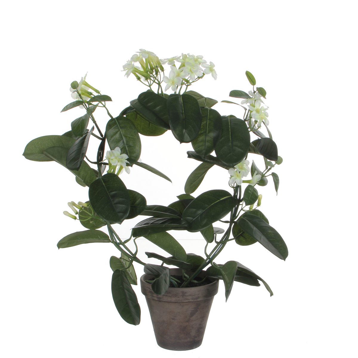 Stephanotis Kunstplant in Bloempot Stan - H50 x Ø40 cm - Wit