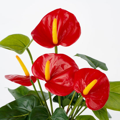 Anthurium Kunstplant in Bloempot Stan - H38 x Ø30 cm - Rood