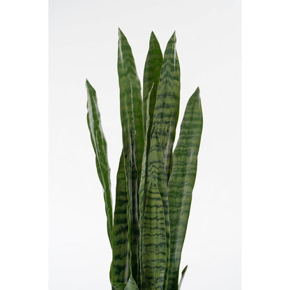 Sanseveria Kunstplant in Bloempot - H80 x Ø15 cm - Groen