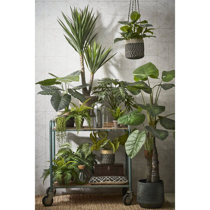 Philodendron Kunstplant - H60 x Ø80 cm - Groen