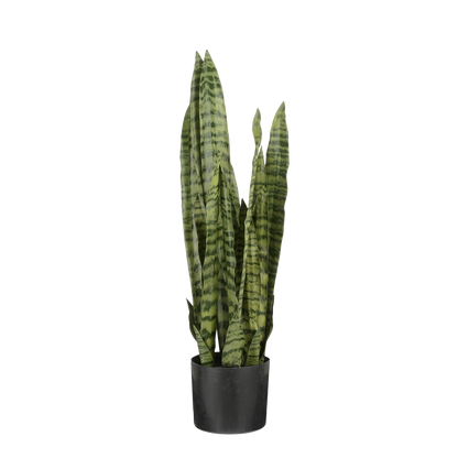 Sanseveria Kunstplant in Bloempot - H80 x Ø15 cm - Groen